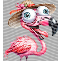 Animal Integration-DW 1609